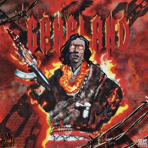 可以看爱爱视频的网站
